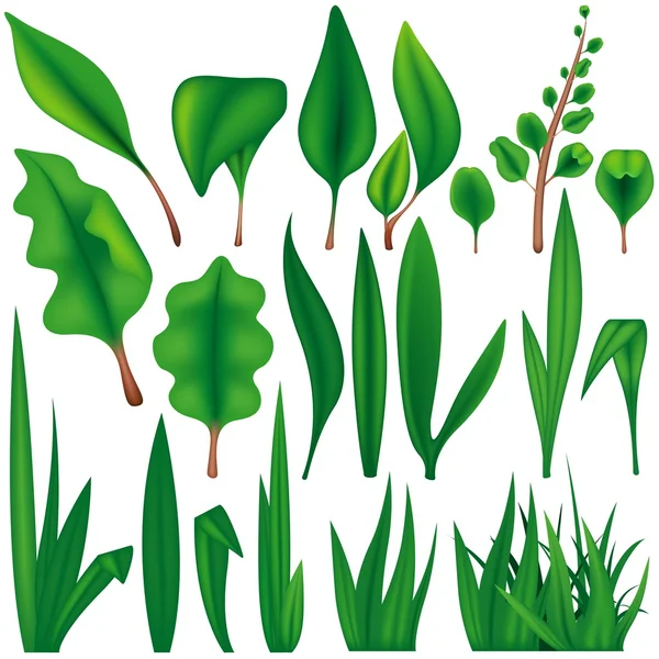 Formes de feuilles — Image vectorielle