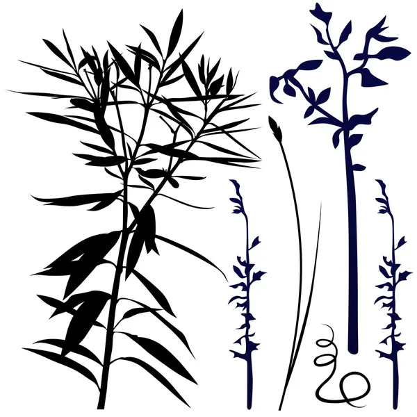 Lange Pflanzen — Stockvektor