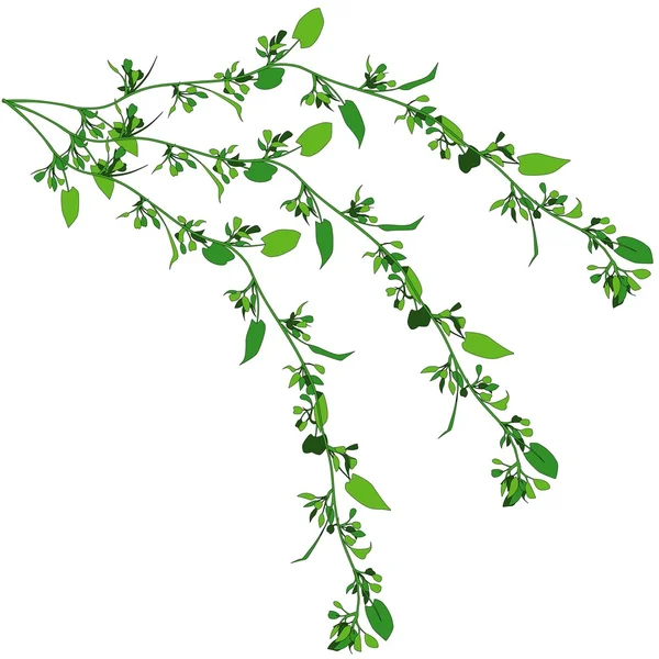 Gruselpflanze — Stockvektor