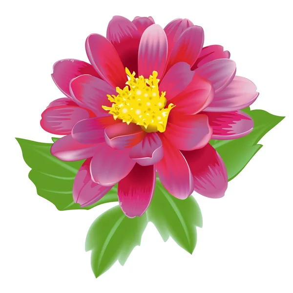 Beautiful Exotic Flower — Stock Vector