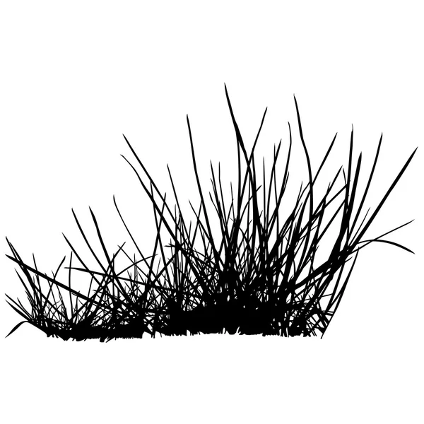 Ramo de hierba — Vector de stock