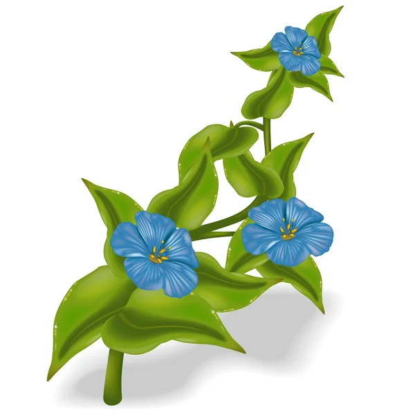 Blue Flowers — Stock Vector