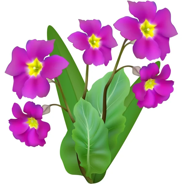 Purple Flowers — Stock Vector