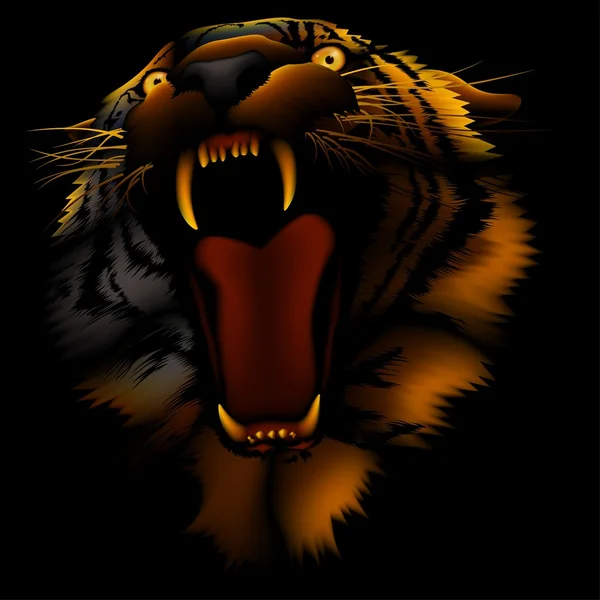 Eld tiger huvud — Stock vektor