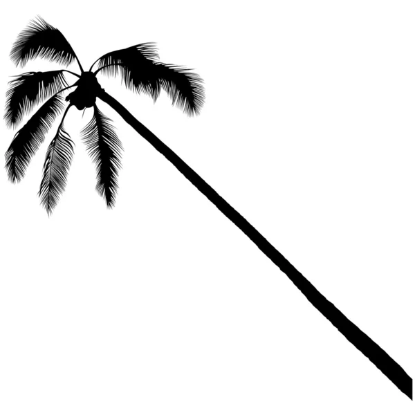 Дерево пальми — стоковий вектор