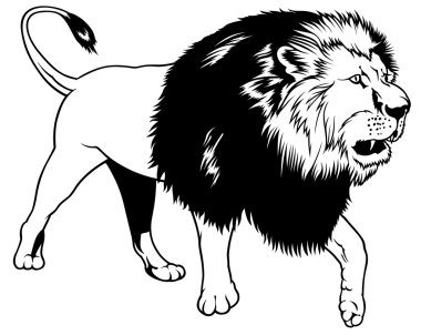 Walking Lion clipart