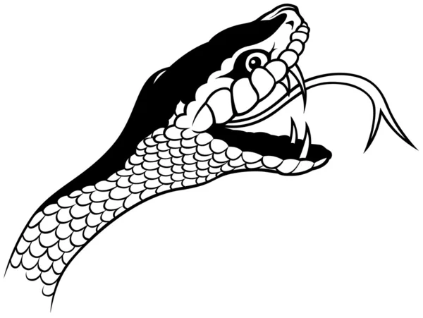 ヘビの頭 — ストックベクタ