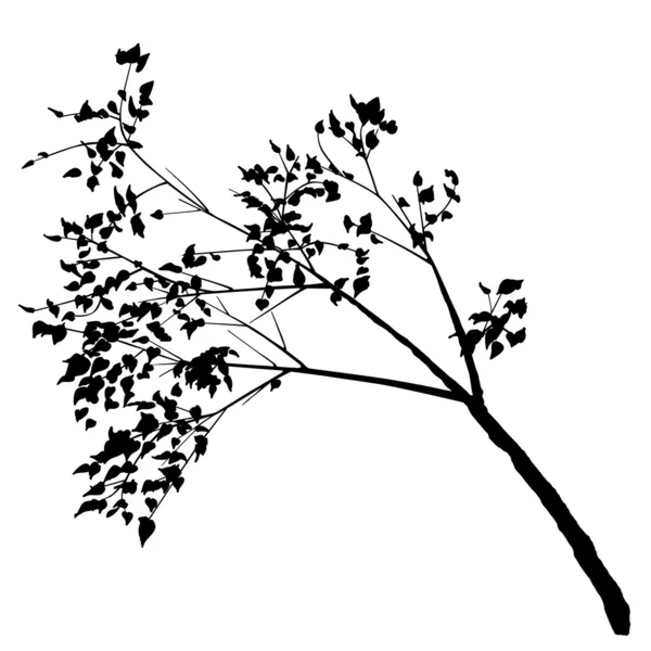 Arbre à feuilles caduques — Image vectorielle