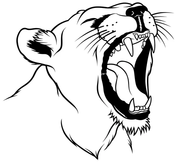 Tête de lionne — Image vectorielle