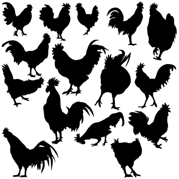 Siluetas de gallo — Vector de stock