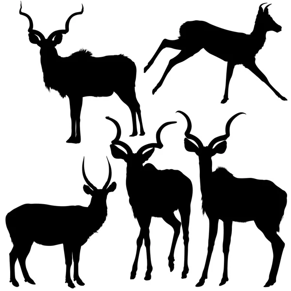Antilop silhuetter — Stock vektor