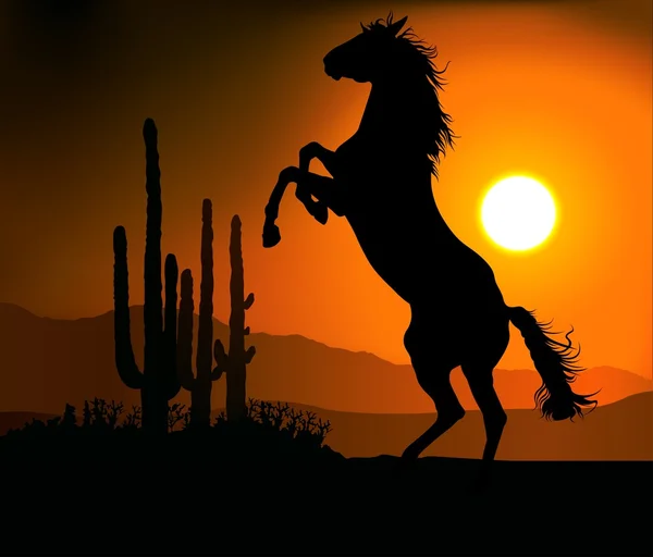 Mustang Sonnenuntergang — Stockvektor