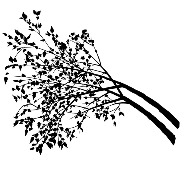 落葉性の高木 — ストックベクタ