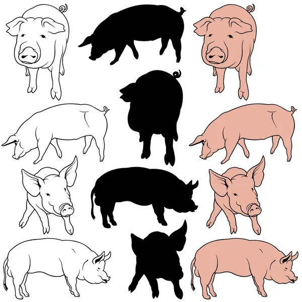 Silueta de cerdos Imágenes Vectoriales, Gráfico Vectorial de Silueta de  cerdos | Depositphotos