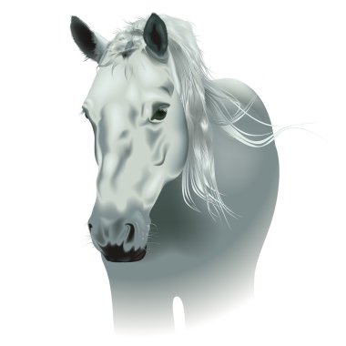 White Horse clipart