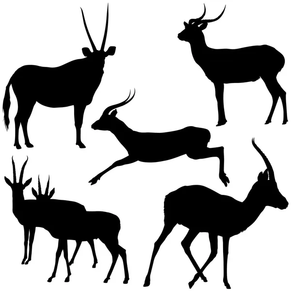 Antilop silhouettes — Stok Vektör