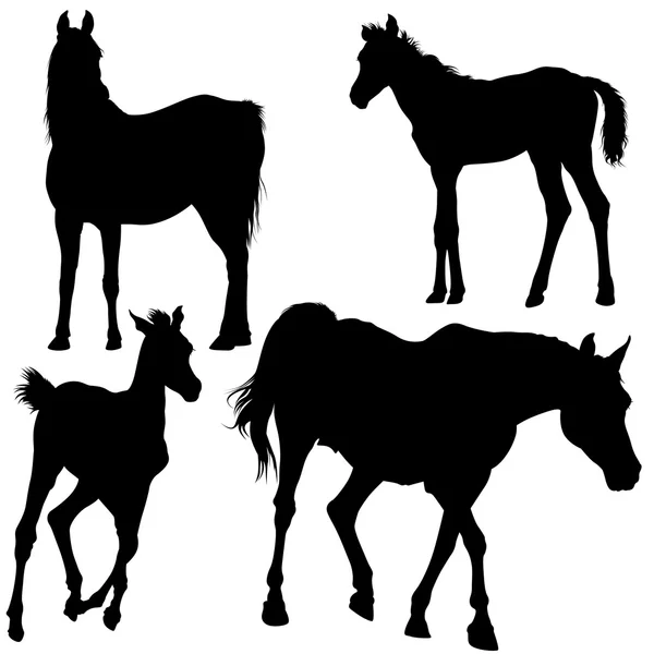 Collezione silhouette cavallo — Vettoriale Stock