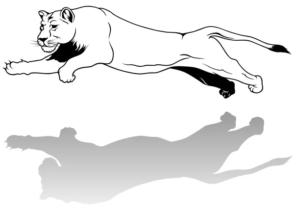 跳跃的母狮 — 图库矢量图片