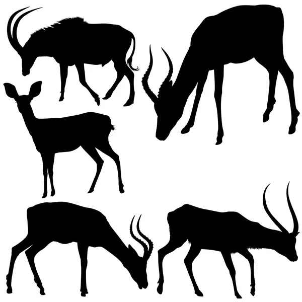 Antilop sziluettek — Stock Vector
