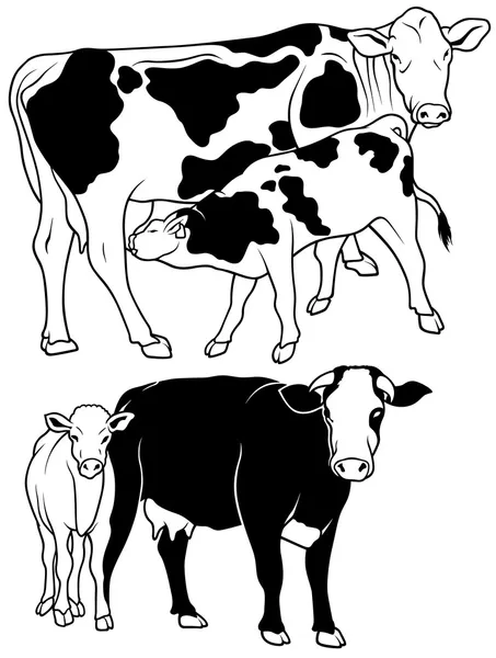 Raccolta di mucche — Vettoriale Stock