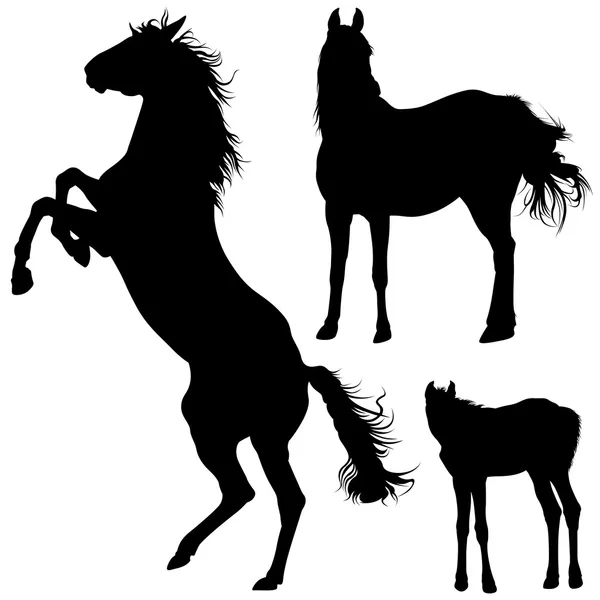 Coleção de silhuetas de cavalo — Vetor de Stock
