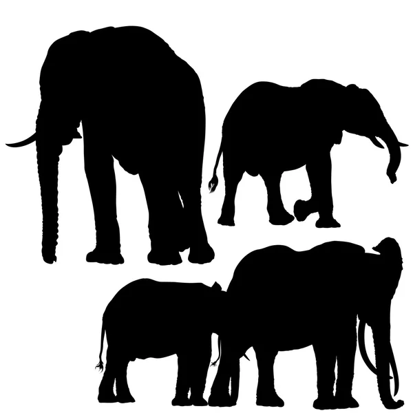 Elefant samling — Stock vektor