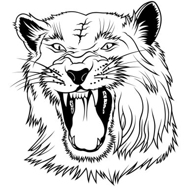 Big Cat Head clipart