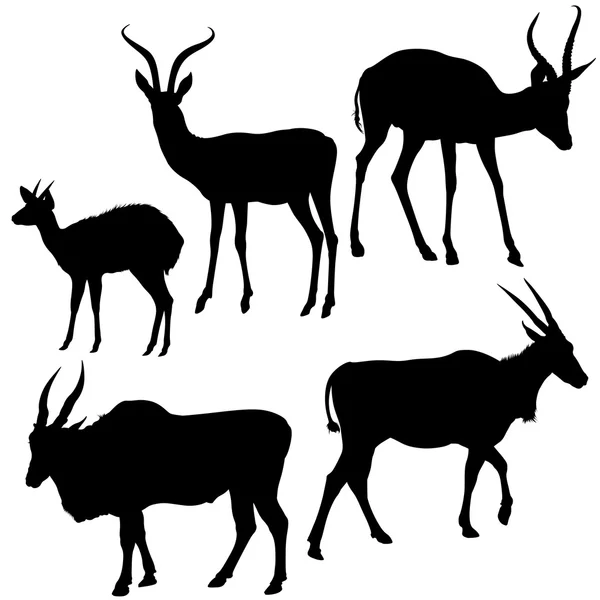 Antelope Silhouettes — Stock Vector