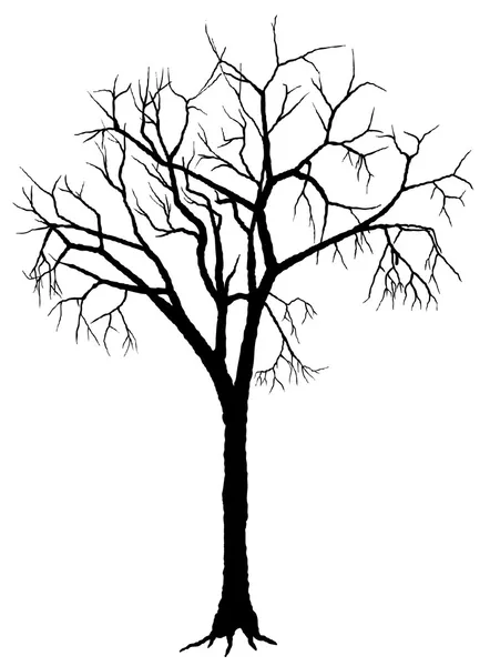 Listnatý strom — Stockový vektor