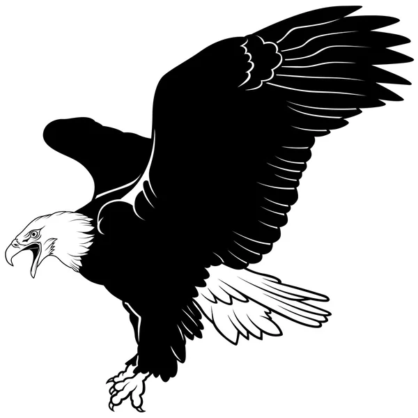 Bald Eagle — Stock Vector