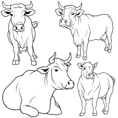 Cow Collection clipart