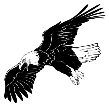 Flying Bald Eagle clipart