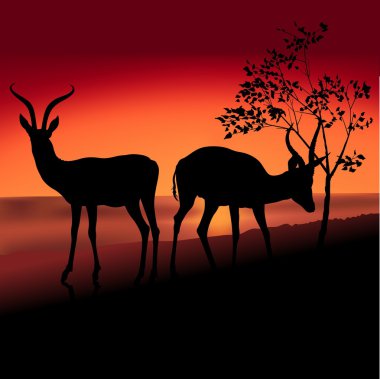 Two Antelopes clipart