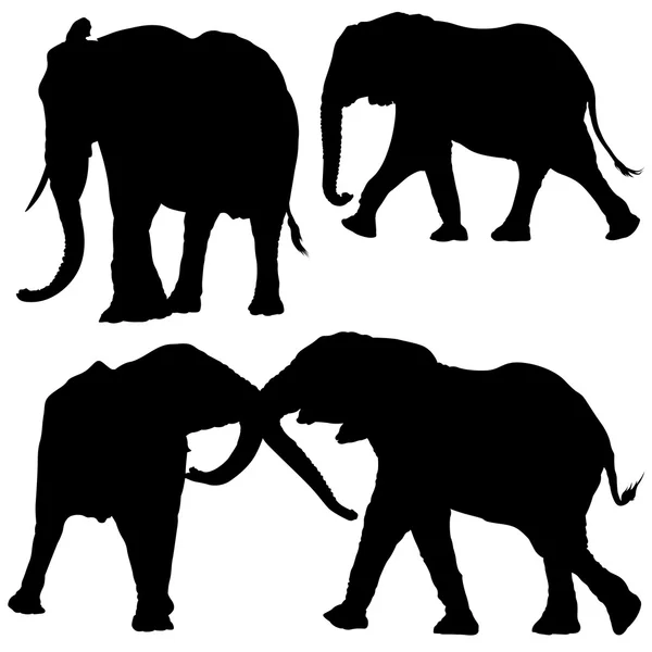 Colección de elefantes — Archivo Imágenes Vectoriales