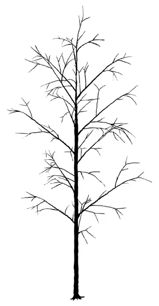 Arbre à feuilles caduques — Image vectorielle