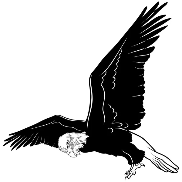 Águila calva — Vector de stock