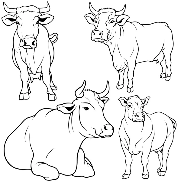 Kolekcja krowa — Wektor stockowy