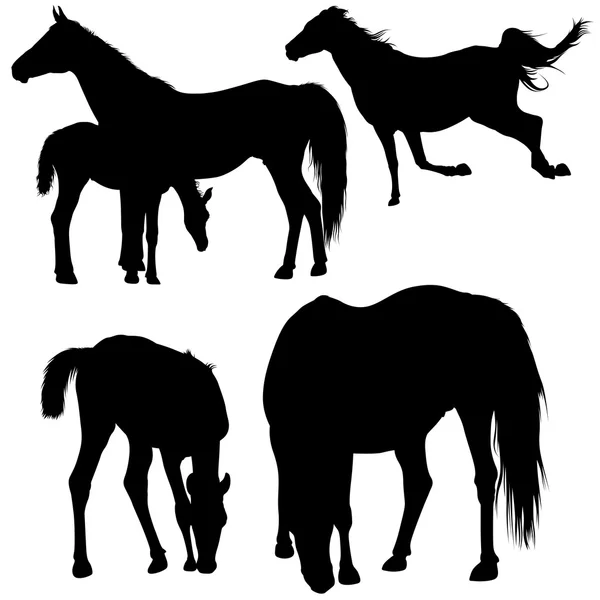 Coleção de silhuetas de cavalo —  Vetores de Stock