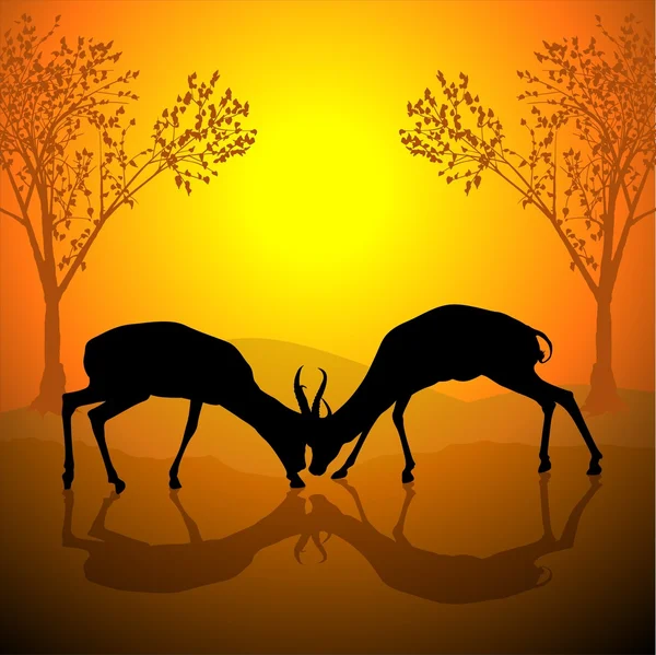 Lotta contro gli antilopi — Vettoriale Stock