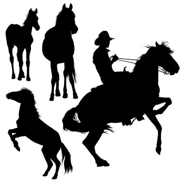 Paard silhouet collectie — Stockvector