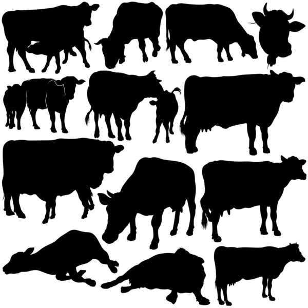 Kolekce siluetu krávy — Stockový vektor