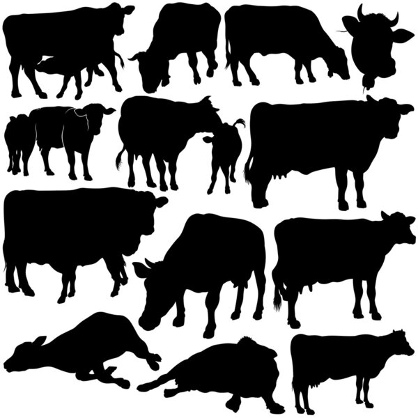 Cow Silhouette Collection