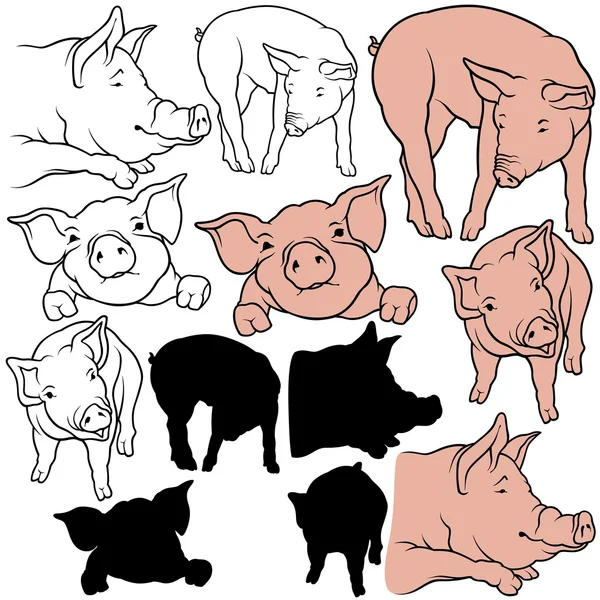 Pig Collection — Stock Vector