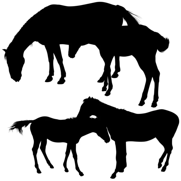 Pferdesilhouetten-Kollektion — Stockvektor