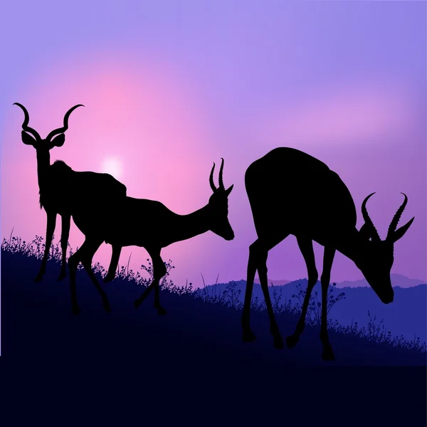 Grazing Antelopes — Stock Vector