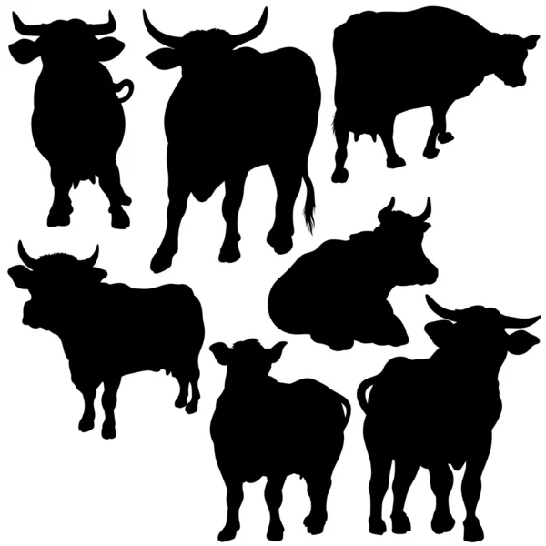 Kolekce siluetu krávy — Stockový vektor