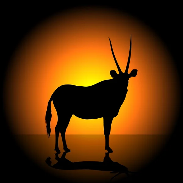 Antilop — Stok Vektör