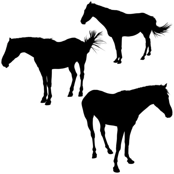 Colección de silueta de caballo — Vector de stock