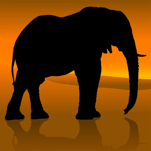 Elephant Sunset — Stockový vektor