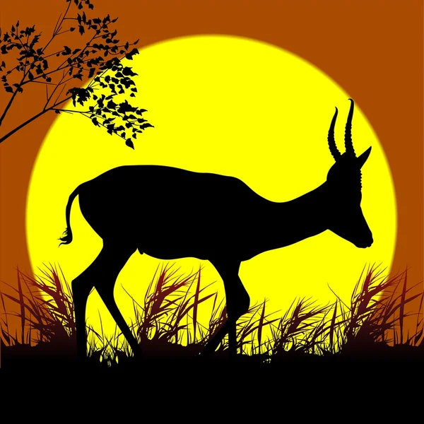 Gyaloglás antilop — Stock Vector